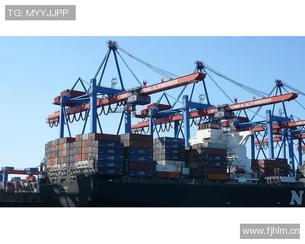 海港俱乐部关注杨希引援动态徐彬留洋前景复杂需谨慎评估